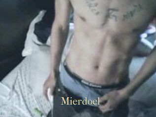 Mierdoel