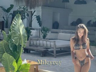 Mileyrey