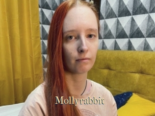 Mollyrabbit