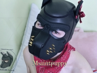Msaintpuppy