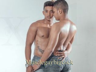 Musclegaybigcock