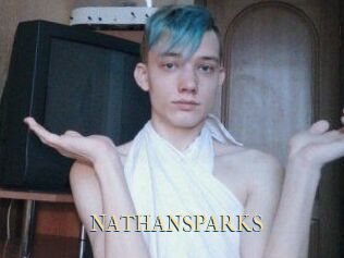 NATHAN_SPARKS
