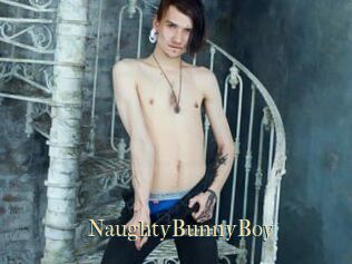 NaughtyBunnyBoy