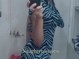 Naughtyniceness