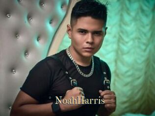 NoahHarris