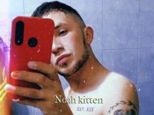 Noah_kitten