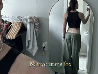 Native_trans_fox