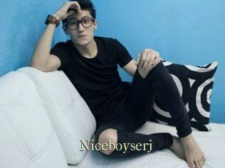 Niceboyserj