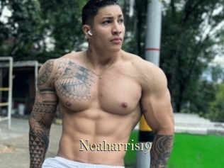 Noaharris19