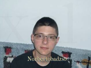 Norbertobadzso