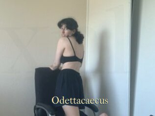 Odettacaecus