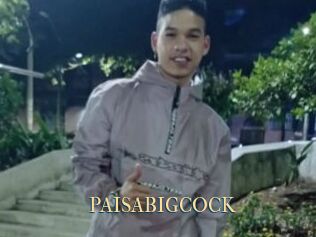 PAISABIGCOCK