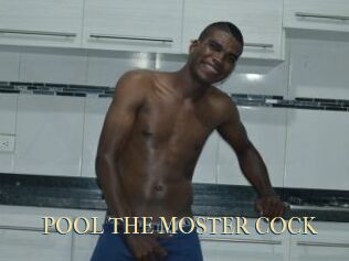 POOL_THE_MOSTER_COCK
