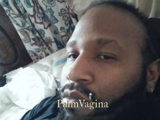 PalmVagina