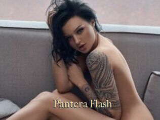 Pantera_Flash