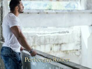 PerfectguyRobert