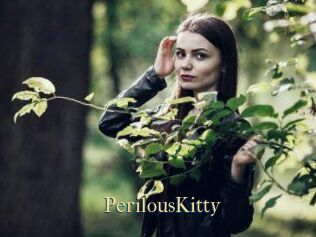 Perilous_Kitty