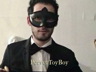 PerverToyBoy