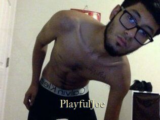 PlayfulJoe