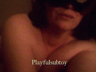 Playfulsubtoy