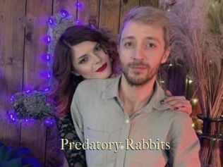 Predatory_Rabbits