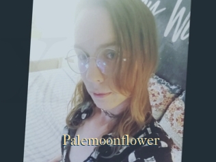 Palemoonflower