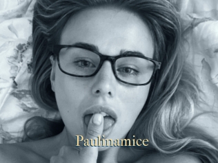 Paulinamice