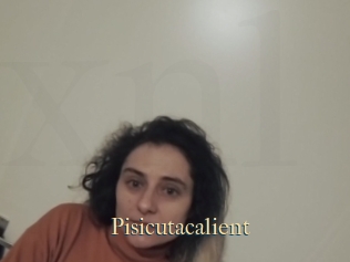 Pisicutacalient