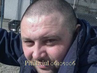 Pituliciul-06105006