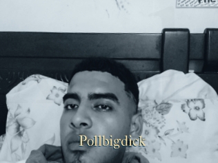 Pollbigdick