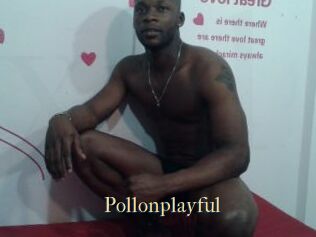 Pollonplayful