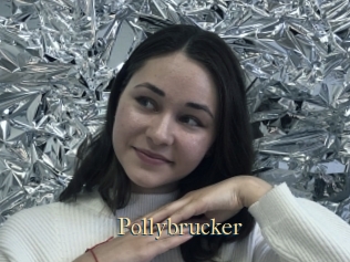 Pollybrucker