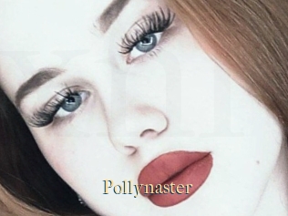 Pollynaster