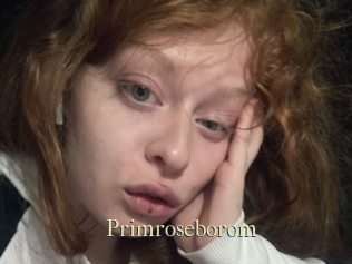 Primroseborom