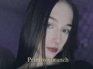Primrosebranch