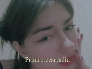 Primrosecarradin