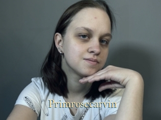 Primrosecarvin
