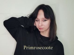 Primrosecoote