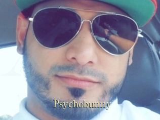 Psychobunny