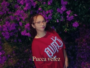 Pucca_velez