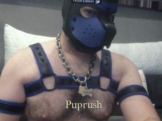 Puprush