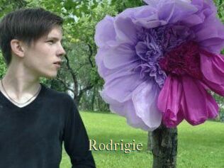 Rodrigie