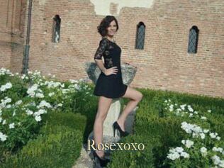 Rosexoxo