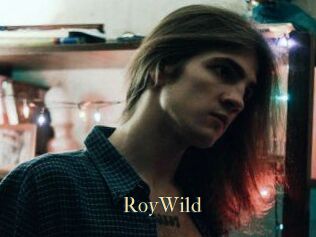 RoyWild