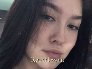 Reneblossom
