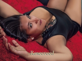 Roseereed