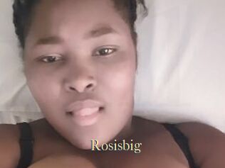 Rosisbig