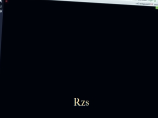 Rzs