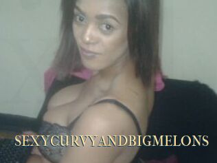 SEXYCURVYANDBIGMELONS