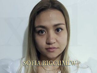 SOFIA_BIGCUMLW